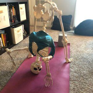 38D Blue Moving Comfort Sportsbra